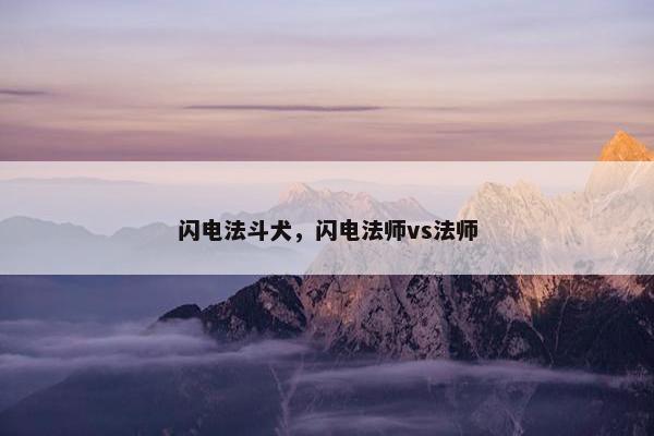 闪电法斗犬，闪电法师vs法师