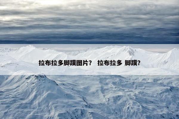 拉布拉多脚蹼图片？ 拉布拉多 脚蹼？