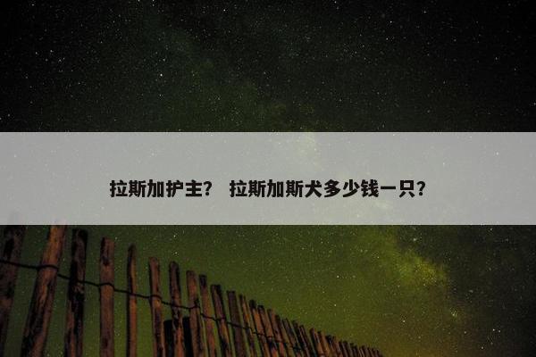 拉斯加护主？ 拉斯加斯犬多少钱一只？