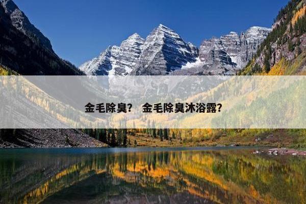 金毛除臭？ 金毛除臭沐浴露？