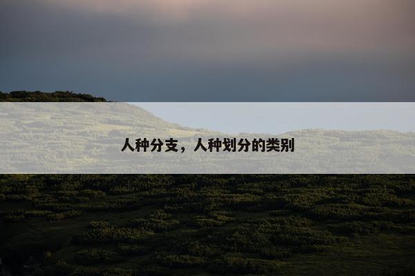 人种分支，人种划分的类别