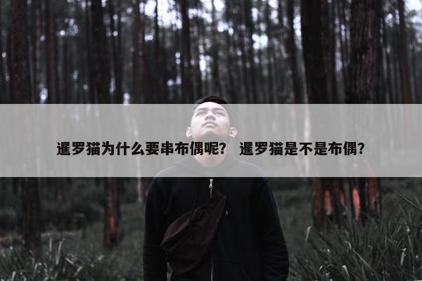 暹罗猫为什么要串布偶呢？ 暹罗猫是不是布偶？