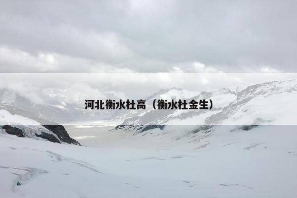河北衡水杜高（衡水杜金生）