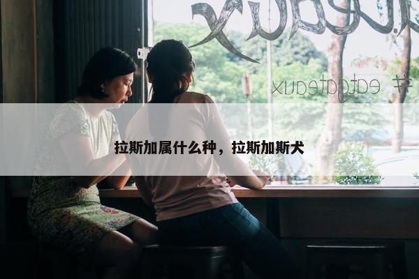 拉斯加属什么种，拉斯加斯犬