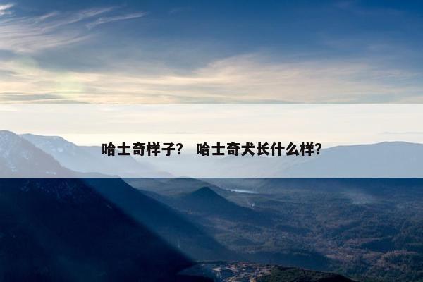 哈士奇样子？ 哈士奇犬长什么样？