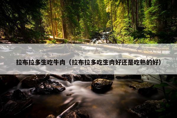 拉布拉多生吃牛肉（拉布拉多吃生肉好还是吃熟的好）