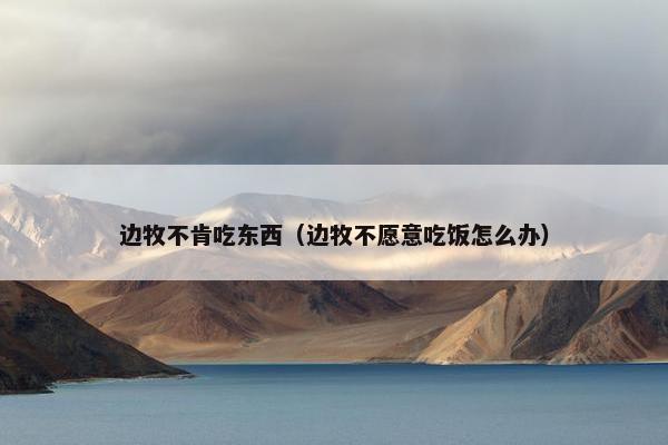边牧不肯吃东西（边牧不愿意吃饭怎么办）