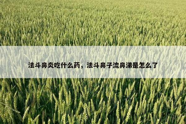 法斗鼻炎吃什么药，法斗鼻子流鼻涕是怎么了