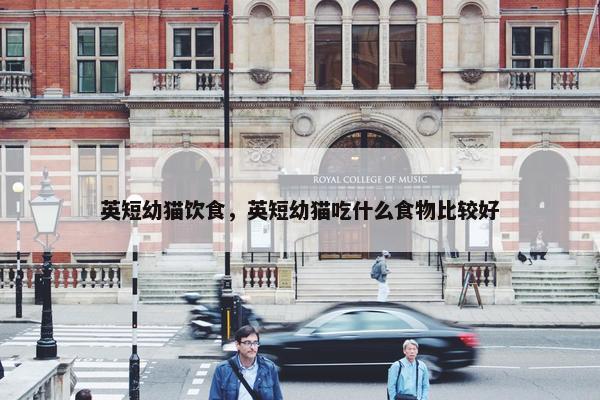 英短幼猫饮食，英短幼猫吃什么食物比较好