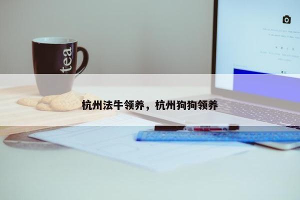 杭州法牛领养，杭州狗狗领养