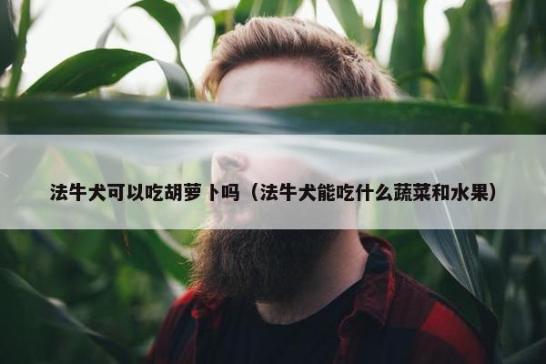 法牛犬可以吃胡萝卜吗（法牛犬能吃什么蔬菜和水果）