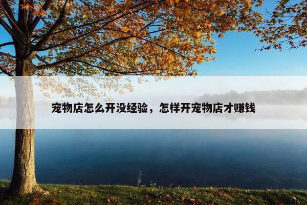 宠物店怎么开没经验，怎样开宠物店才赚钱