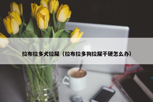 拉布拉多犬拉屎（拉布拉多狗拉屎干硬怎么办）