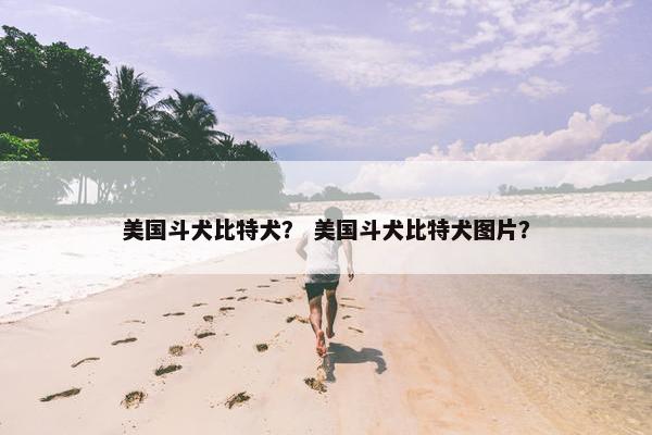 美国斗犬比特犬？ 美国斗犬比特犬图片？