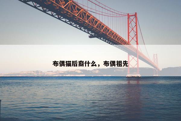 布偶猫后裔什么，布偶祖先