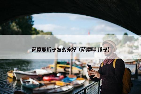 萨摩耶爪子怎么养好（萨摩耶 爪子）