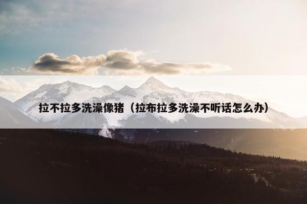 拉不拉多洗澡像猪（拉布拉多洗澡不听话怎么办）
