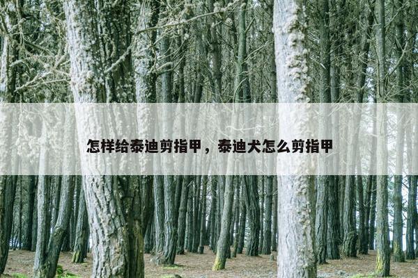 怎样给泰迪剪指甲，泰迪犬怎么剪指甲