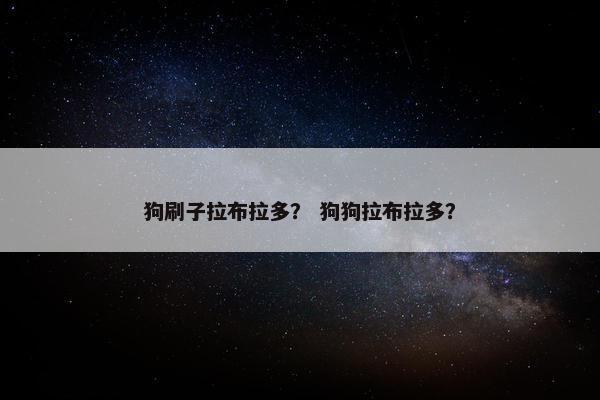 狗刷子拉布拉多？ 狗狗拉布拉多？