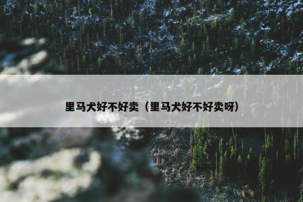 里马犬好不好卖（里马犬好不好卖呀）