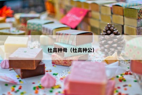 杜高种母（杜高种公）