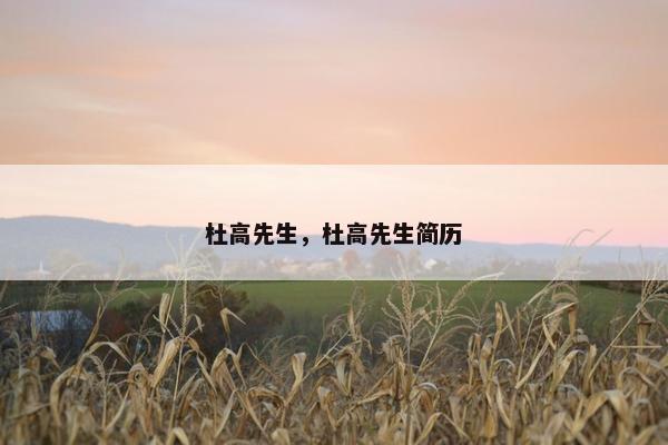 杜高先生，杜高先生简历