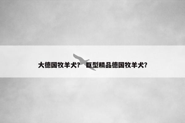 大德国牧羊犬？ 巨型精品德国牧羊犬？