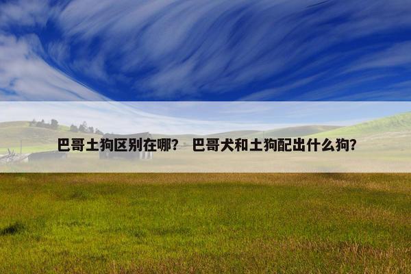 巴哥土狗区别在哪？ 巴哥犬和土狗配出什么狗？