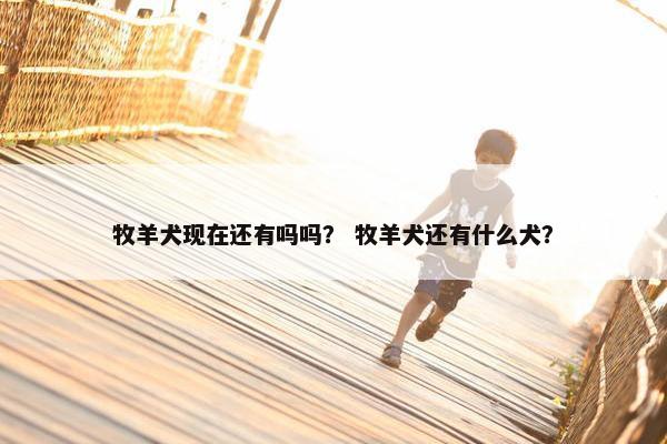 牧羊犬现在还有吗吗？ 牧羊犬还有什么犬？