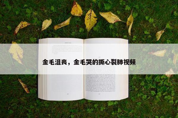 金毛沮丧，金毛哭的撕心裂肺视频