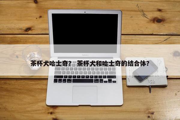 茶杯犬哈士奇？ 茶杯犬和哈士奇的结合体？