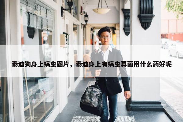 泰迪狗身上螨虫图片，泰迪身上有螨虫真菌用什么药好呢