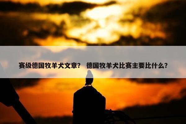 赛级德国牧羊犬文章？ 德国牧羊犬比赛主要比什么？