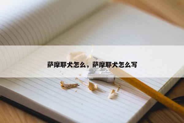 萨摩耶犬怎么，萨摩耶犬怎么写