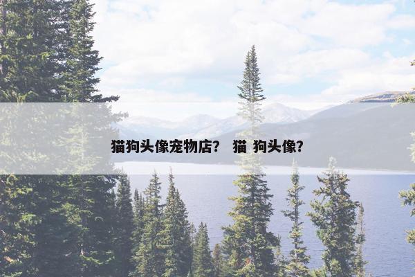 猫狗头像宠物店？ 猫 狗头像？