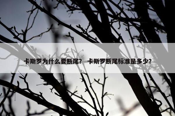 卡斯罗为什么要断尾？ 卡斯罗断尾标准是多少？