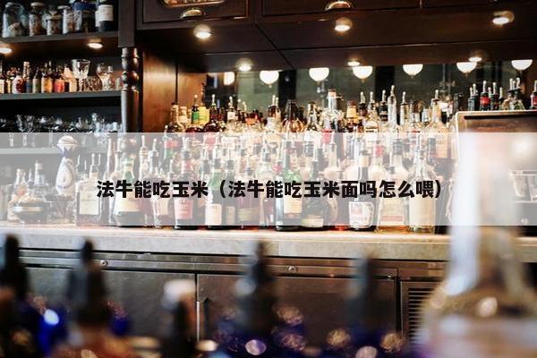 法牛能吃玉米（法牛能吃玉米面吗怎么喂）