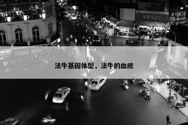 法牛基因体型，法牛的血统
