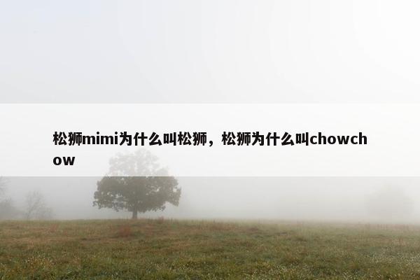 松狮mimi为什么叫松狮，松狮为什么叫chowchow