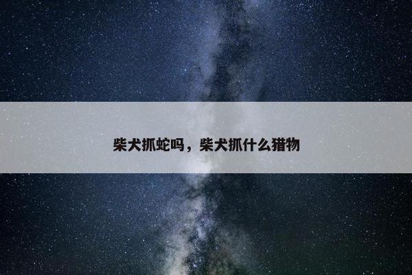 柴犬抓蛇吗，柴犬抓什么猎物