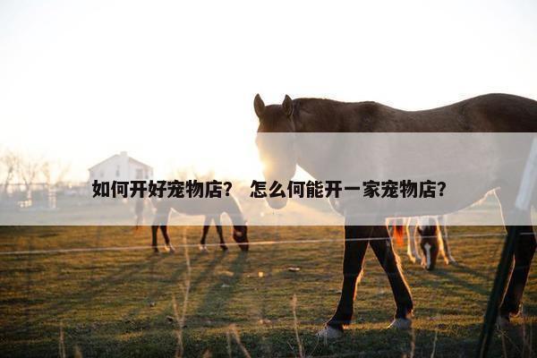 如何开好宠物店？ 怎么何能开一家宠物店？