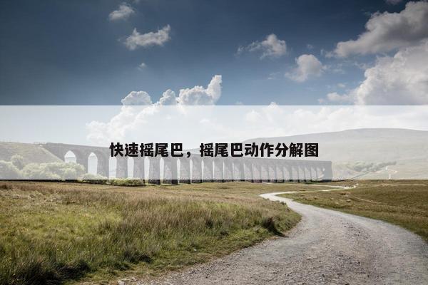 快速摇尾巴，摇尾巴动作分解图