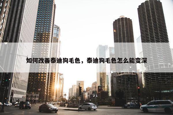 如何改善泰迪狗毛色，泰迪狗毛色怎么能变深