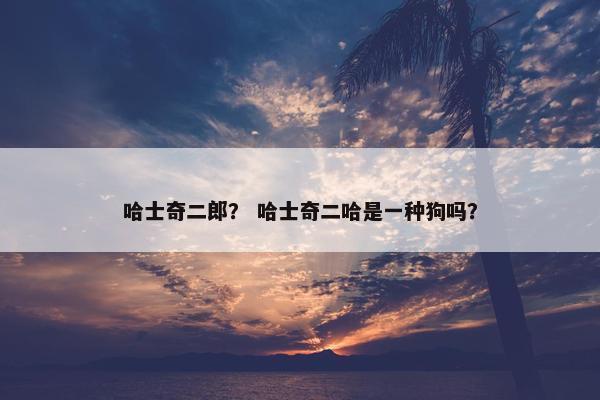 哈士奇二郎？ 哈士奇二哈是一种狗吗？