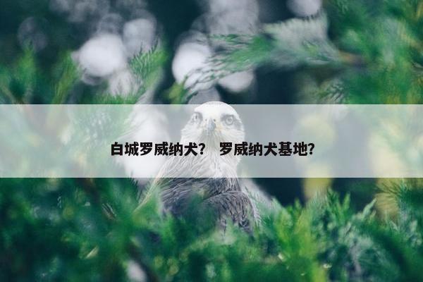 白城罗威纳犬？ 罗威纳犬基地？
