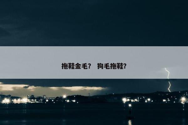 拖鞋金毛？ 狗毛拖鞋？