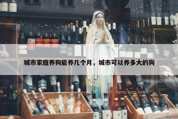 城市家庭养狗能养几个月，城市可以养多大的狗