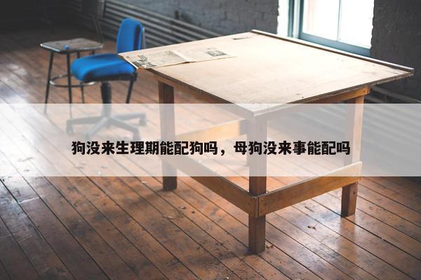 狗没来生理期能配狗吗，母狗没来事能配吗