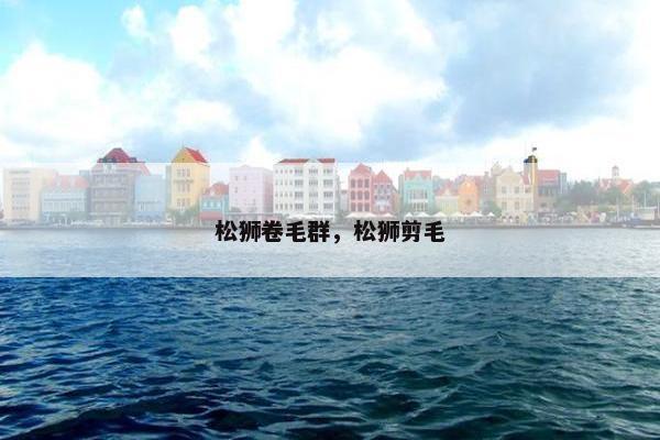 松狮卷毛群，松狮剪毛
