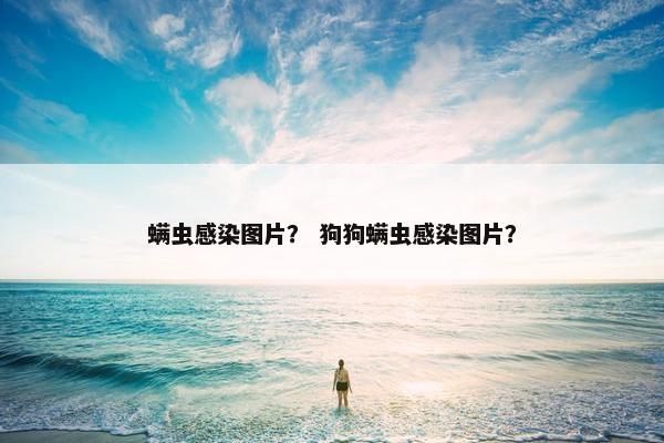 螨虫感染图片？ 狗狗螨虫感染图片？